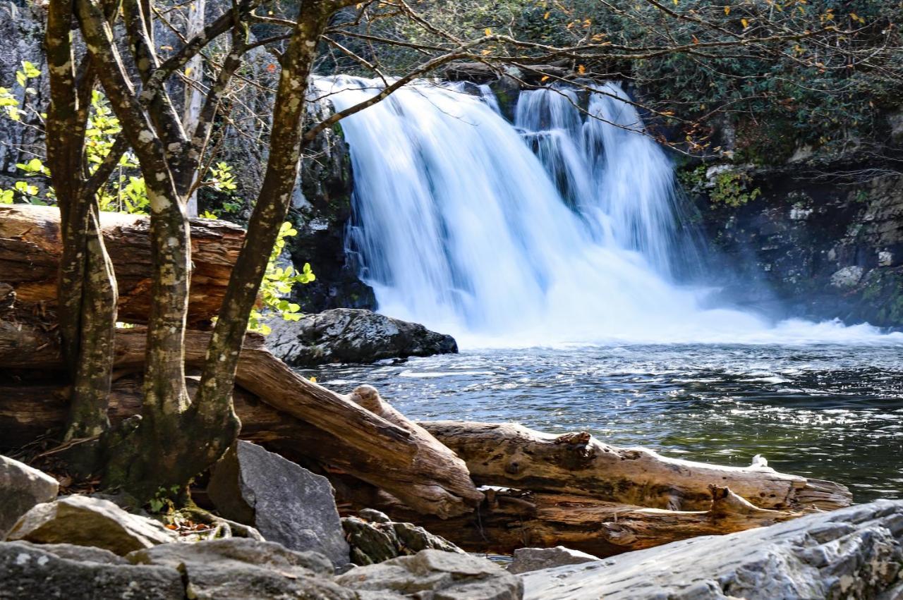 Tennessee Retreat Whispering Pines 631 Daire Pigeon Forge Dış mekan fotoğraf